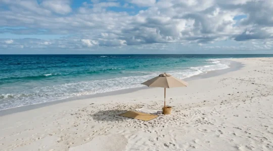 Sunlit beach scene with textured sand and natural sun protection elements