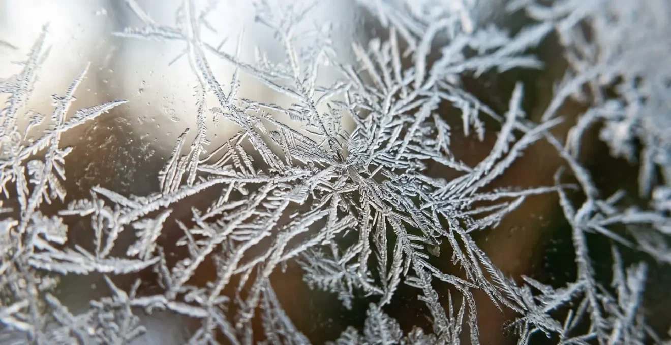 Macro detail of natural organic patterns representing neural connection and creative thought formation